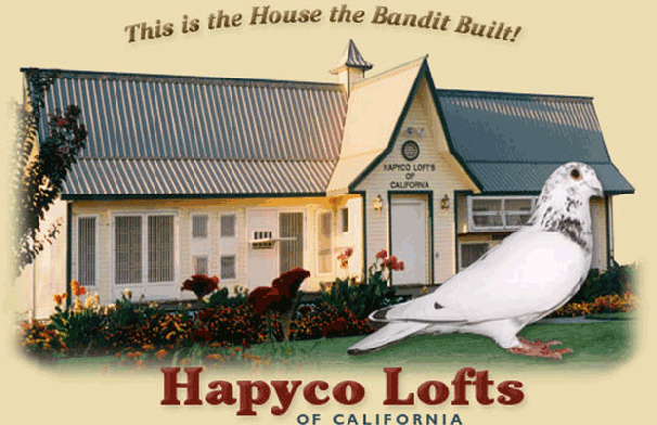 loft-bandit-built loft-bandit-built